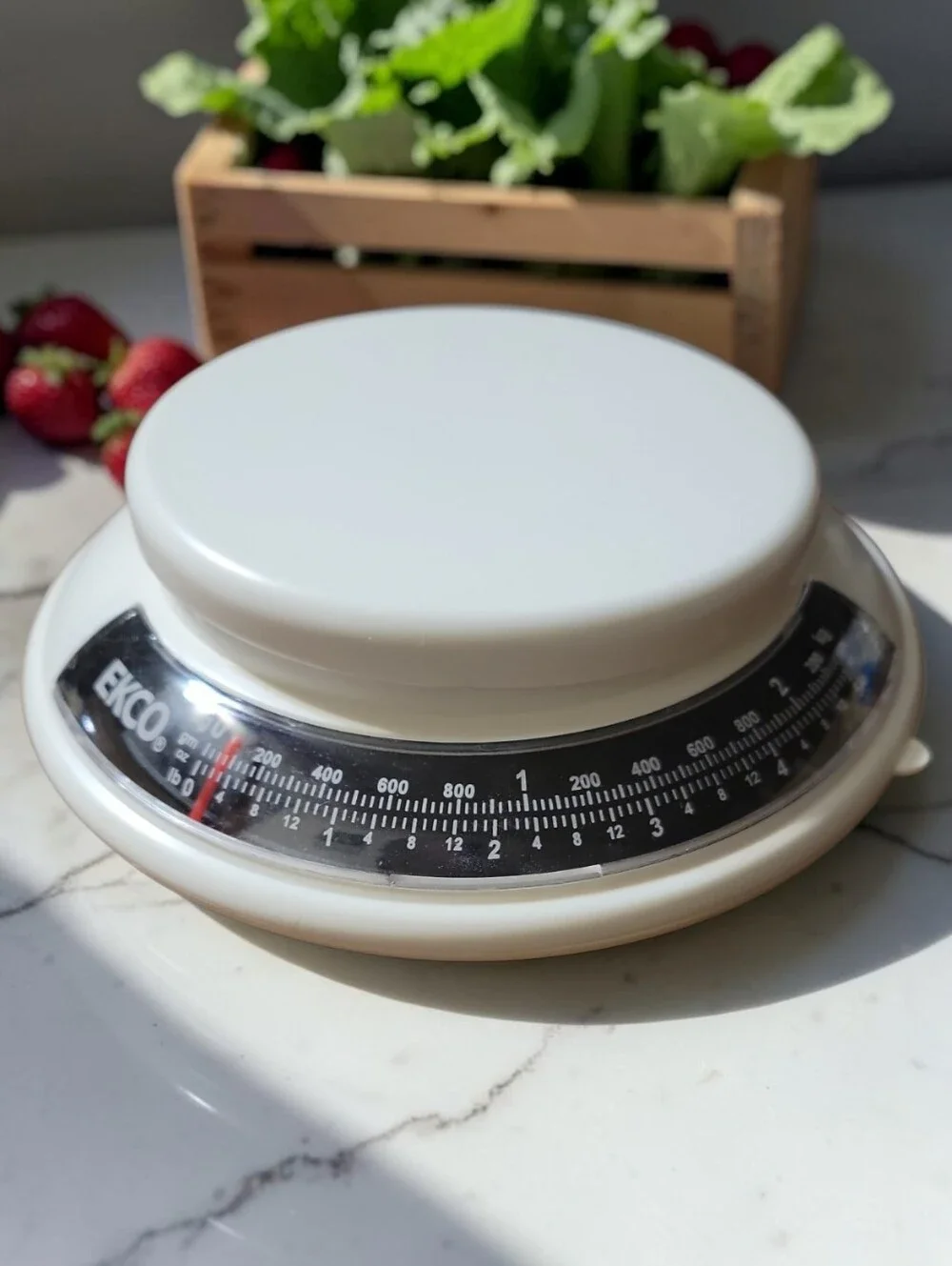 NWT EKCO 5 lb 2 kg Mechanical Kitchen Food Scale White Analog Countertop